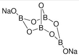 images (1).png